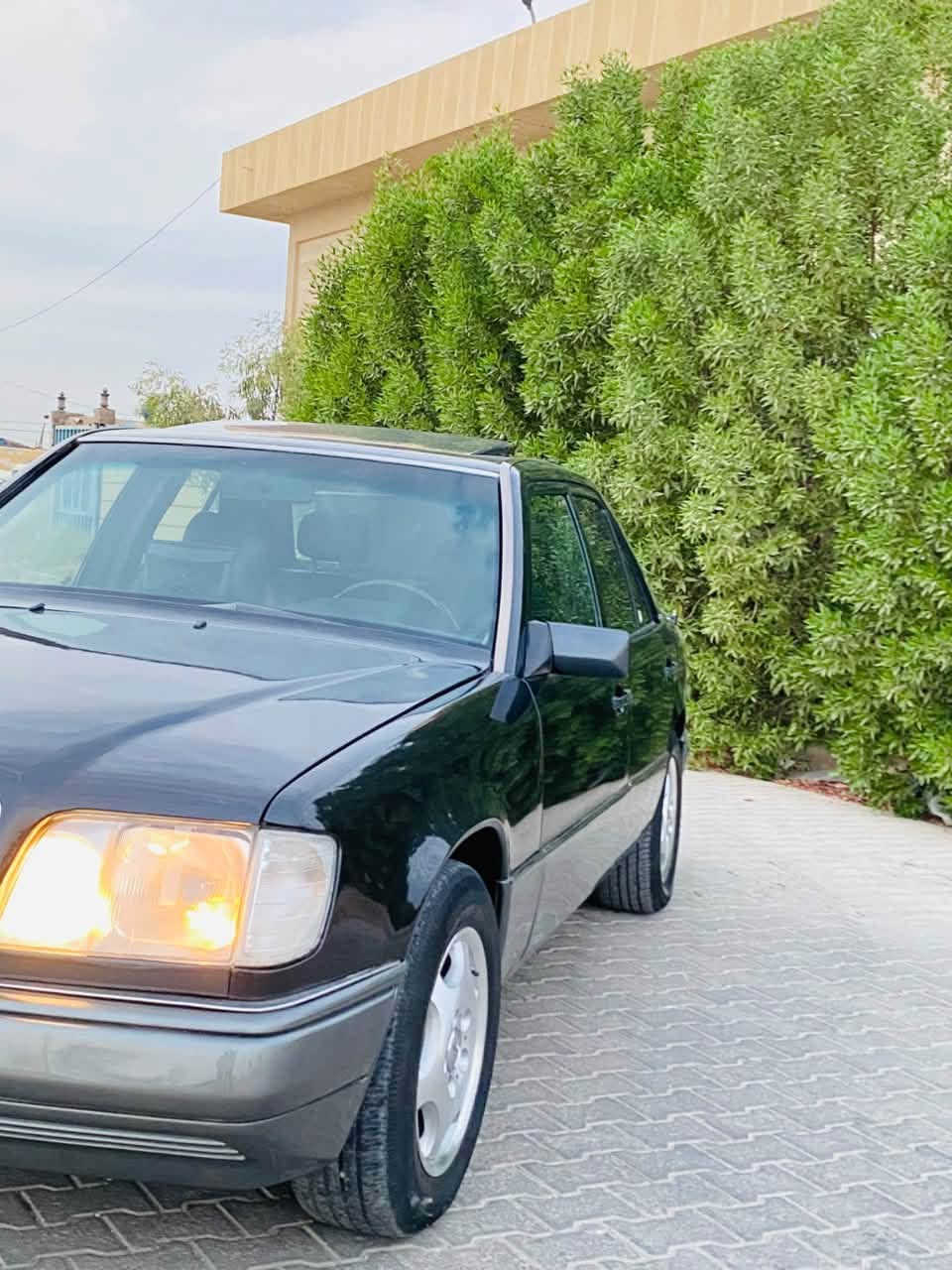 سلام عليكم ورحمه الله اخوان السياره للبيع فقط بدون مرواس ولا اقصاد رجاء رجاء لاتصال ع الرقم مكلف بل نشر 

مارسدس دب محدثه بيبي داخل وخارج 
غرفه جديده فول صاج كهرباء برده كهرباء 
تجاوي كهرباء السياره متعوب عليها وجاهزه 
مكينه وكير بلاد 300قبق اسود دبل مروحه دبل هورن بل فيت بم سلايت شغال كهربيات كلها شغاله من دعاميه لدعاميه السياره بيها قاعده وحده بيها تصليح بسيط 
صبغه جديده مديل السياره ٨٨ اصل محدثه ٩٥ داخل وخارج نقصها بس التبريد بي ثقب بل راديتر. 

رقم السياره بغداد مميز مشروع وطني بسمي سنويه ل ٢٨ 
مكان السياره النجف لاشرف لسعر ٧٥ وبيها مجال 
***********
