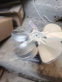 ريشه مروحه • ٢٤ • الزبير