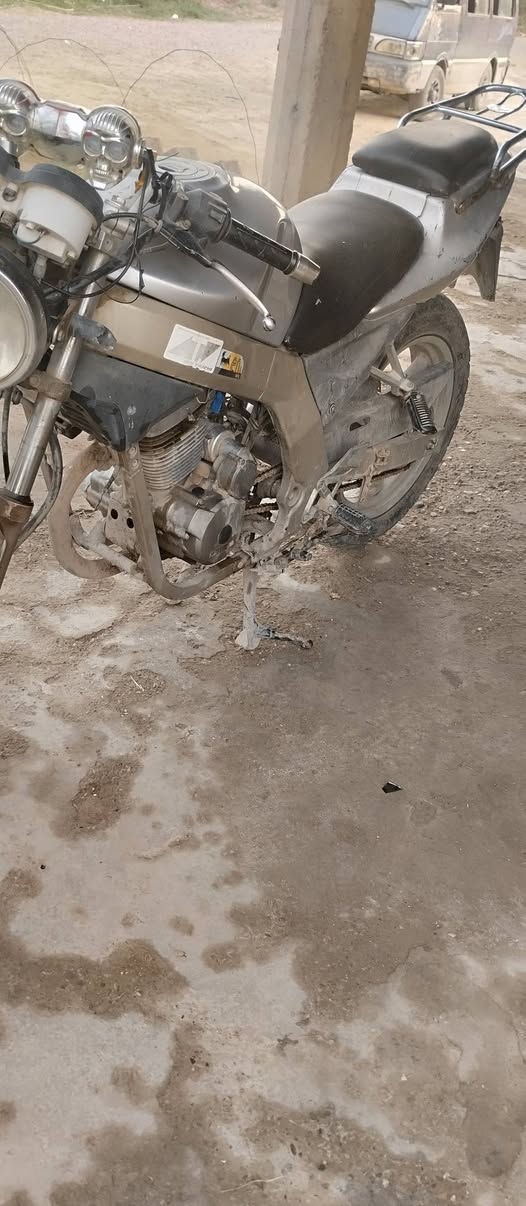 دايلم بطح • بدون اوراق • سلف