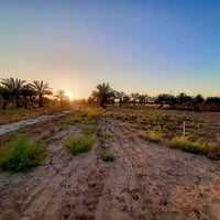 يوجد لدينا 3دونم للبيع واجها 40ونزال 200 واصلهن ماء شط وماء اساله قريب...