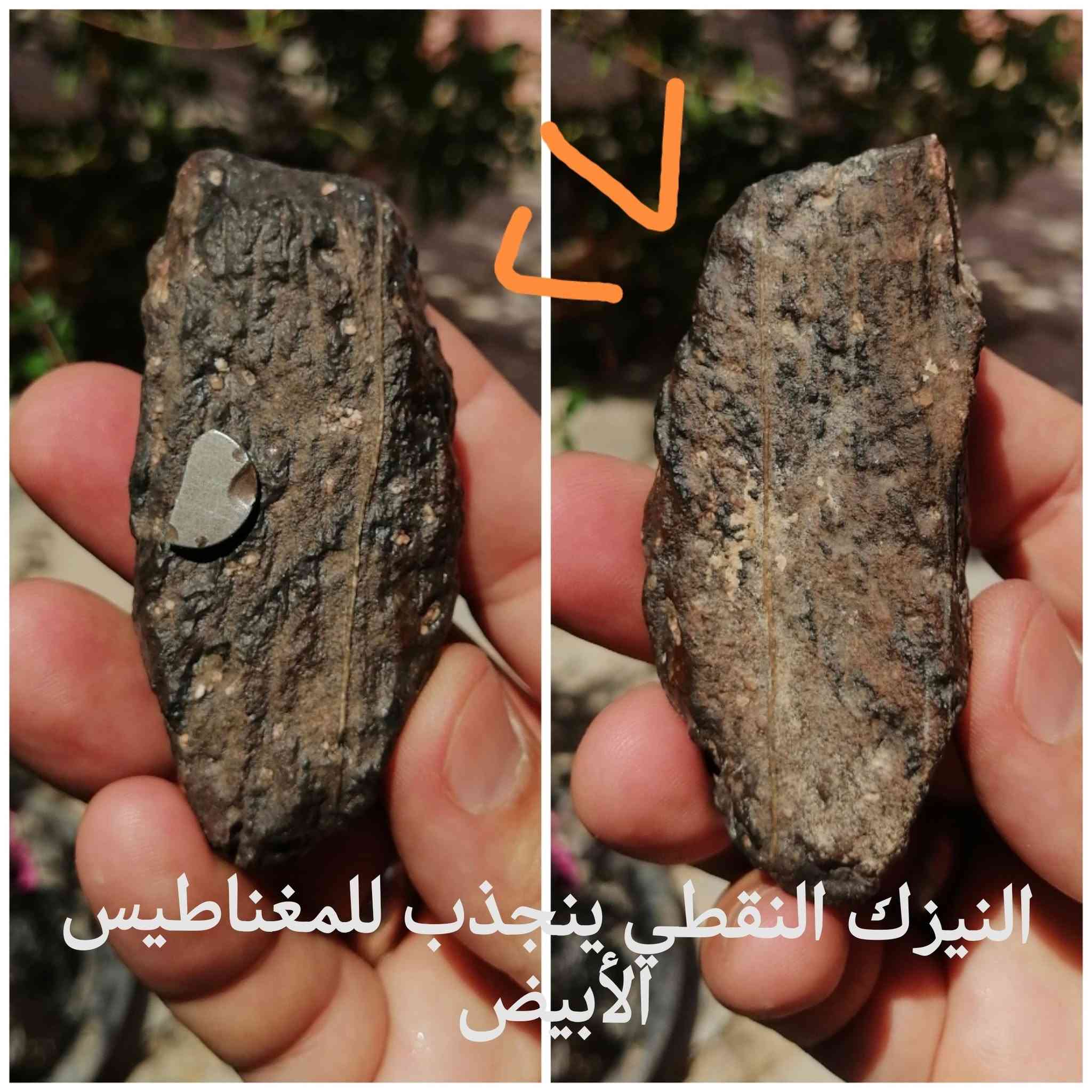احجار نيزكيه للبيع المهتم يراسلني ويدلل احبتي الطيبين ☄️ 🔥

نص مكتوب في الصور:
- من نوادر احجاري النيازك للبيع
- النيزك النقطي ينجذب للمغناطيس الأبيض
- ١٢ نيزك تركيبه نادره للبيع
- حجر النيزك
- نيزك اسود ينجذب للمغناطيس الابيض للبيع
- نوع مميز نيزك للبيع
- للبيع حجر النيزك ٣
- حجر النيزك ينجذب للمغناطيس
- حجر النيزك نوع مختلف للبيع