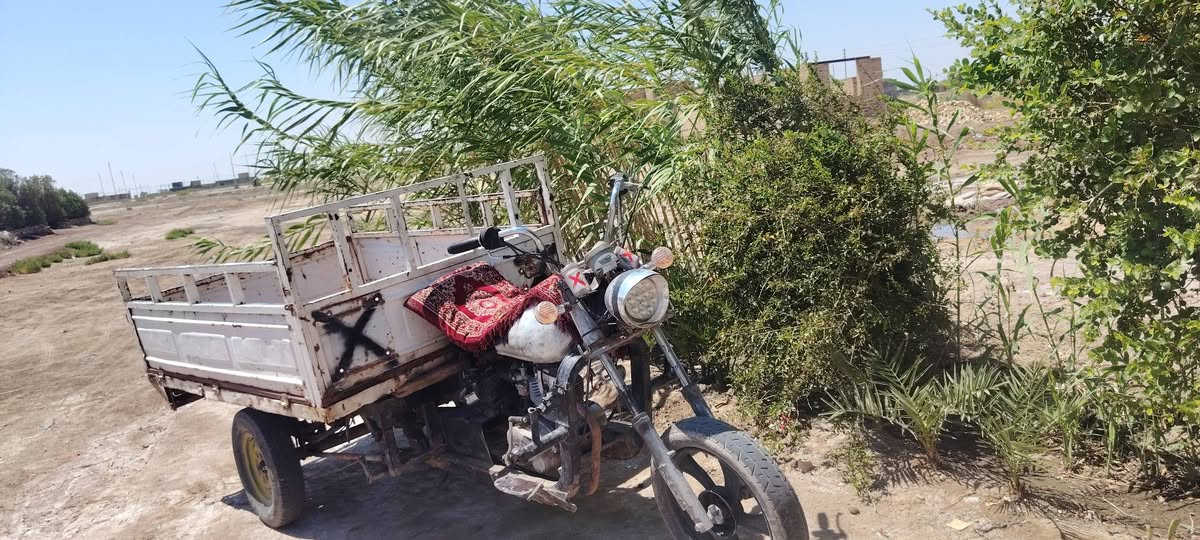 لبيع بديل عشره السعر ٧٠٠وبيه مجال اتصل خط ***********
