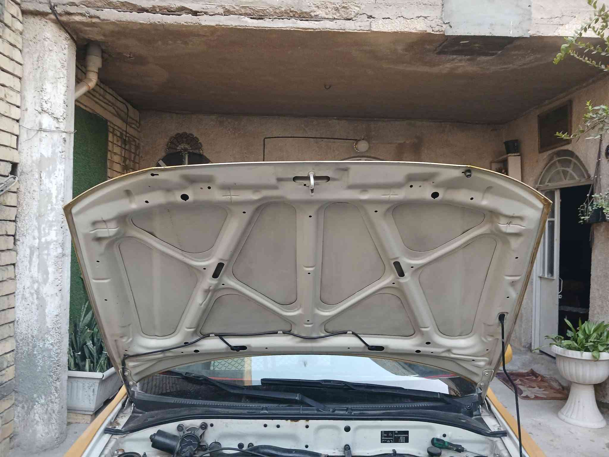 فيرنا • ٢٠١٤ • بلادية