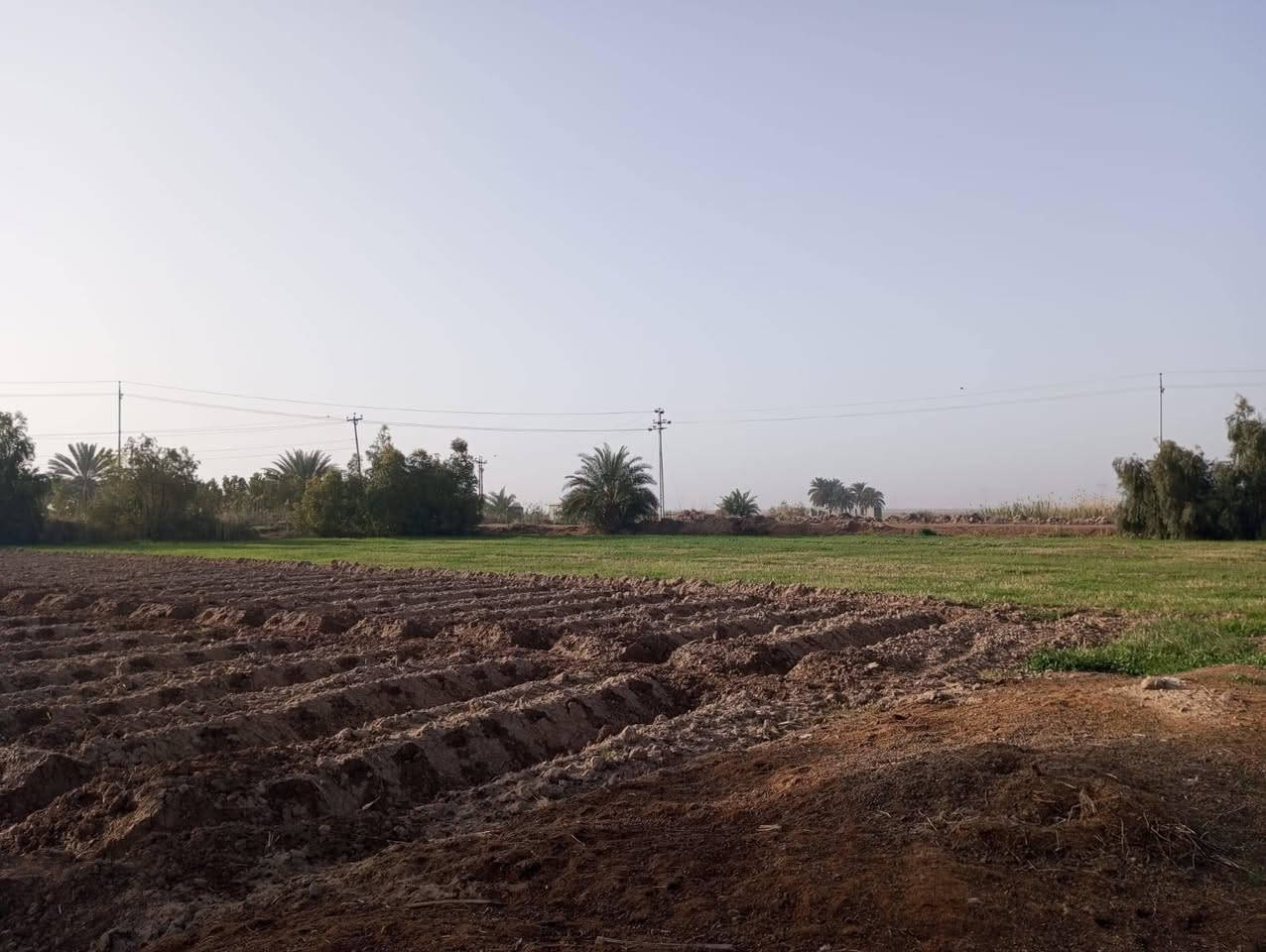 أرض زراعيه لبيع المساحه ٤٠٠دونم متوفر كافه الخدمات ماء كهرباء طريق كوت نعمانيه لاستفسار ***********و ***********

