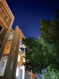 قريب جامعة بابل • ١٥٥م • ٣ غرف