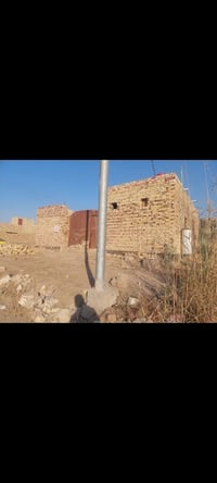 ٢٣٠م • طابو زراعي • نص ونص