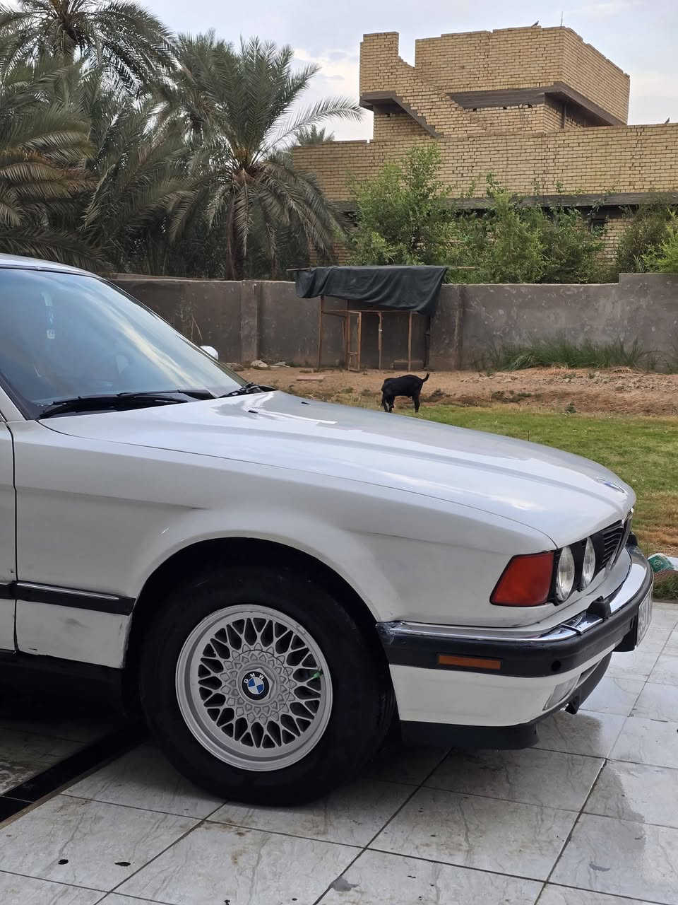 بي ام 730 • مكينه ٢٥٠٠ • رقم بغداد