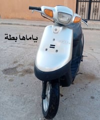 بطة • ٦٠ • شاصي مكفول