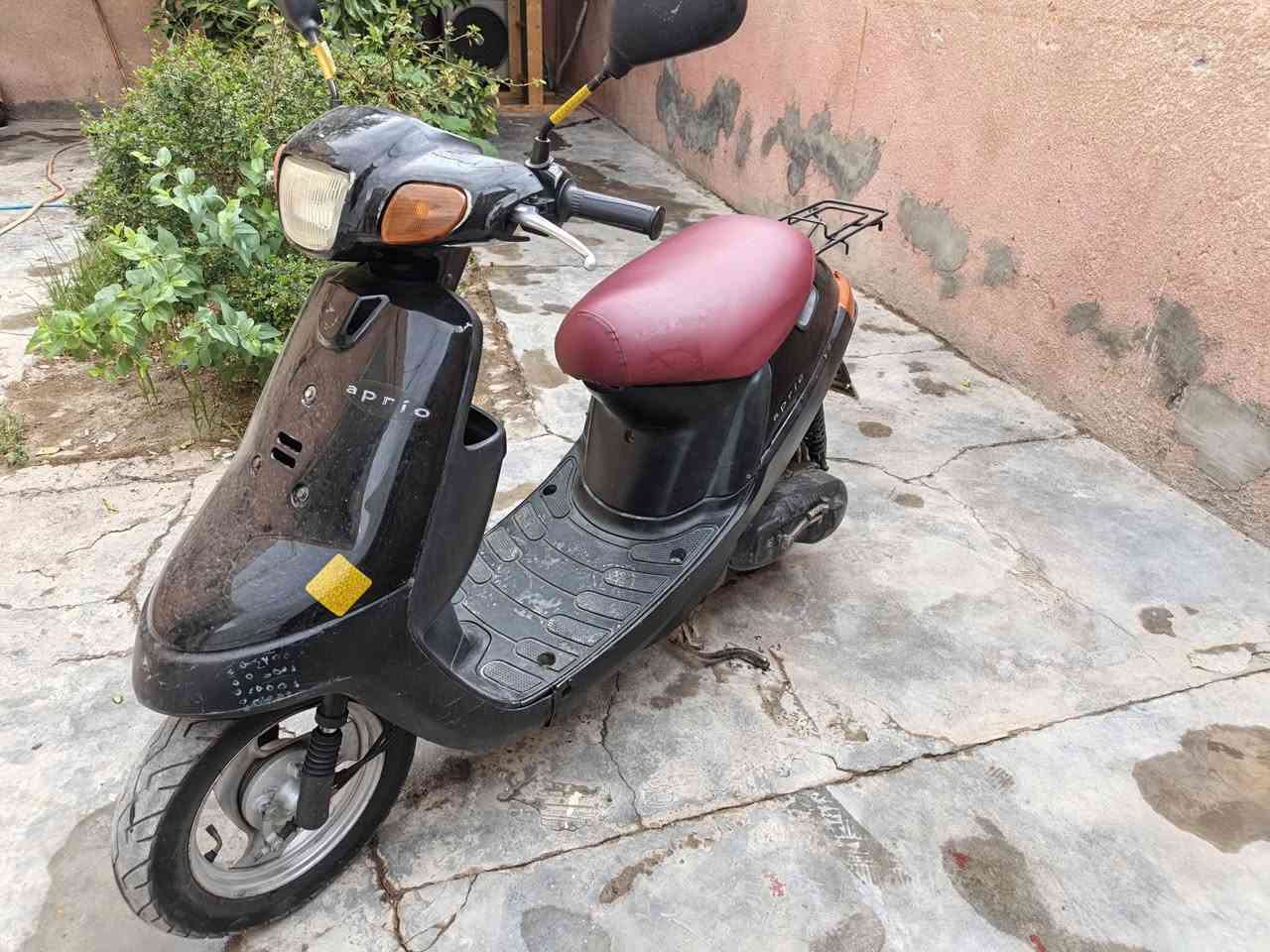 بطة • ياباني • بدون نواقص