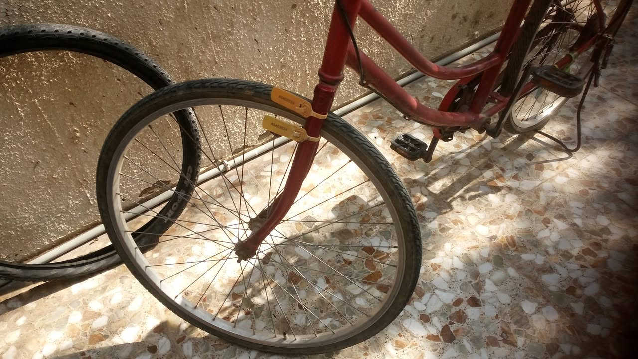 بايسكل • نضيف • الكوت الانوار