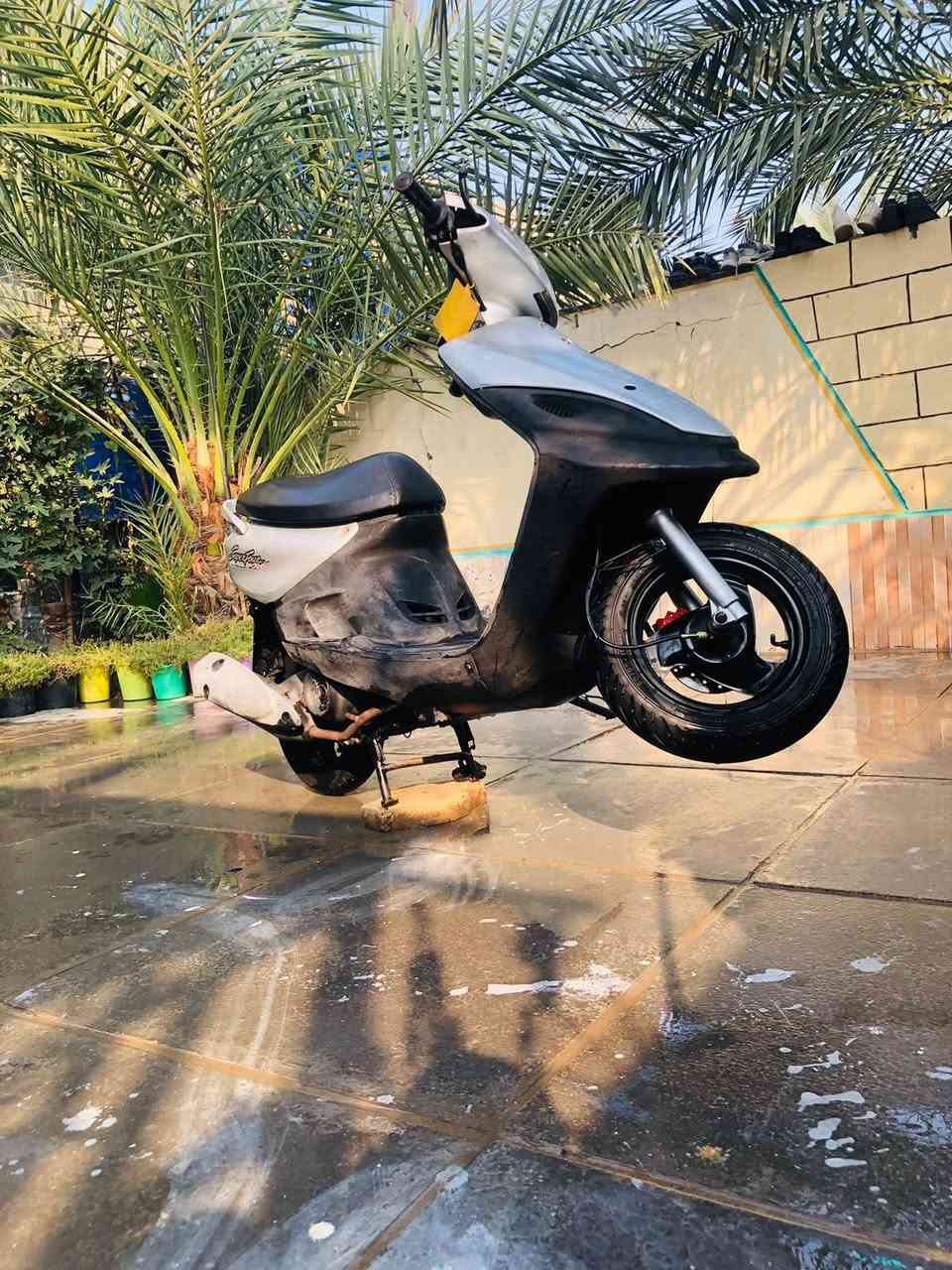 ماكس قجمة • كهربائية • سلف مكسورة