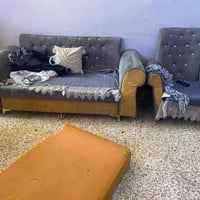 تخم للبيع كلش قوي ونضيف بدون شك او كسر  وما بي شي سعره ب ٣٠٠ وبي مجال ...