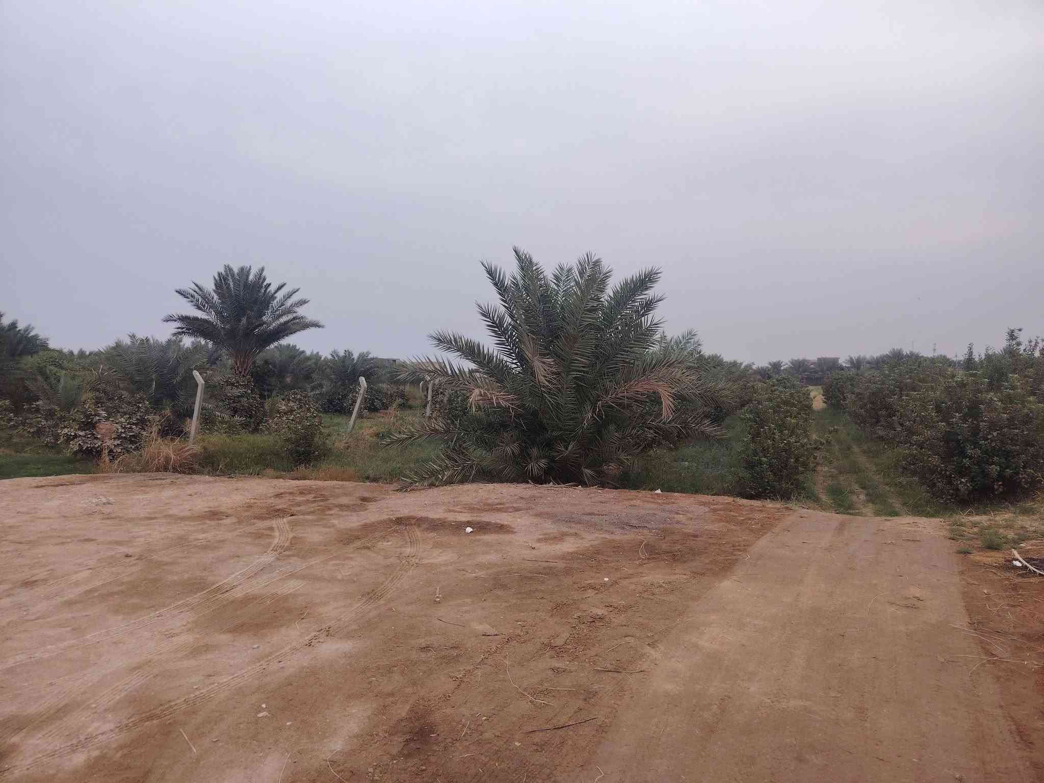 بستان • ٦دوانم • شط الصب