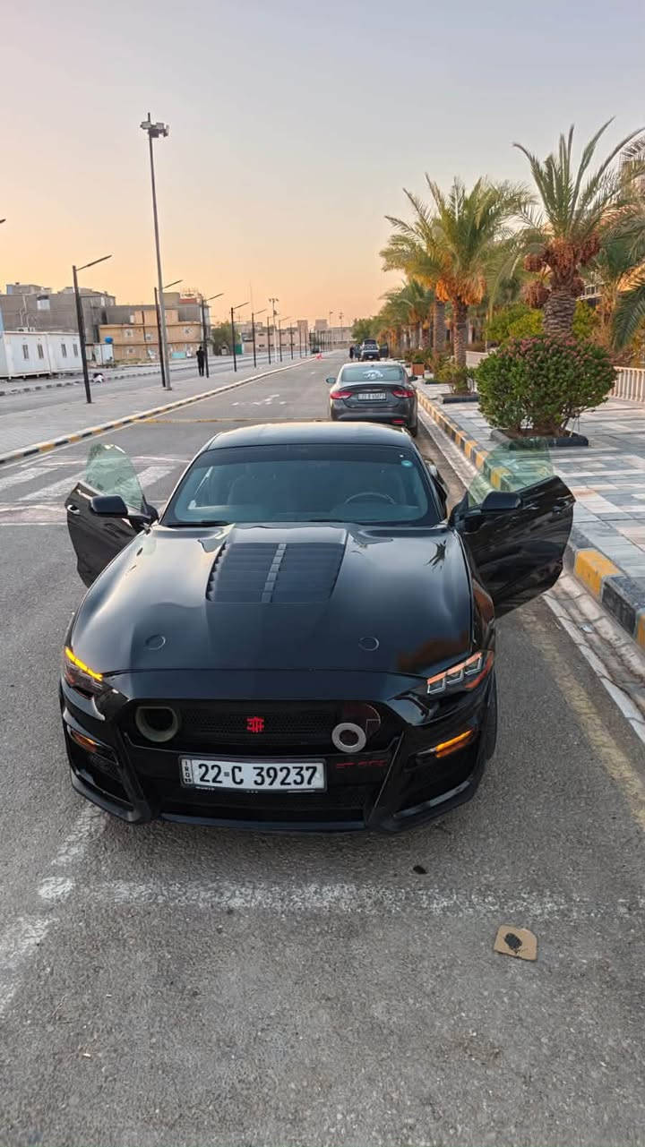 يا الله اللهم صل على سيدنا وحبيبنا محمد وعلى آله وأصحابه أجمعين 🧿🧿
موستنك2018 ✈️محدث 2025

رقم اربيل بسمي تحويل مباشر 

السياره علىيها تعديلات واضافات تفوق الخيال بديها صافي لونها اسود ميتاليك صدفه

 السعر 135$ والي حابب تفاصيل اكثر الاتصال على الرقم ***********

مكان السياره النجف الاشرف
