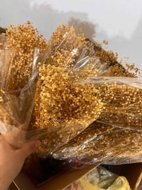 جبسوفيل • ٦٠غرام • توزيعات مناسبات