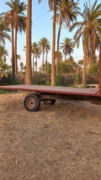 عربانه سطحيه • الديوانية • غماس