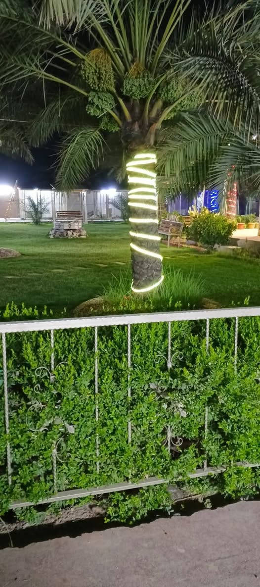 توجد مزرعة في منطقة ركية وفاضل طابو صرف
 مساحة ( 3 دوانم ) للبيع
للتواصل والاستفسار الاتصال على الارقام التالية
*********** / ***********
