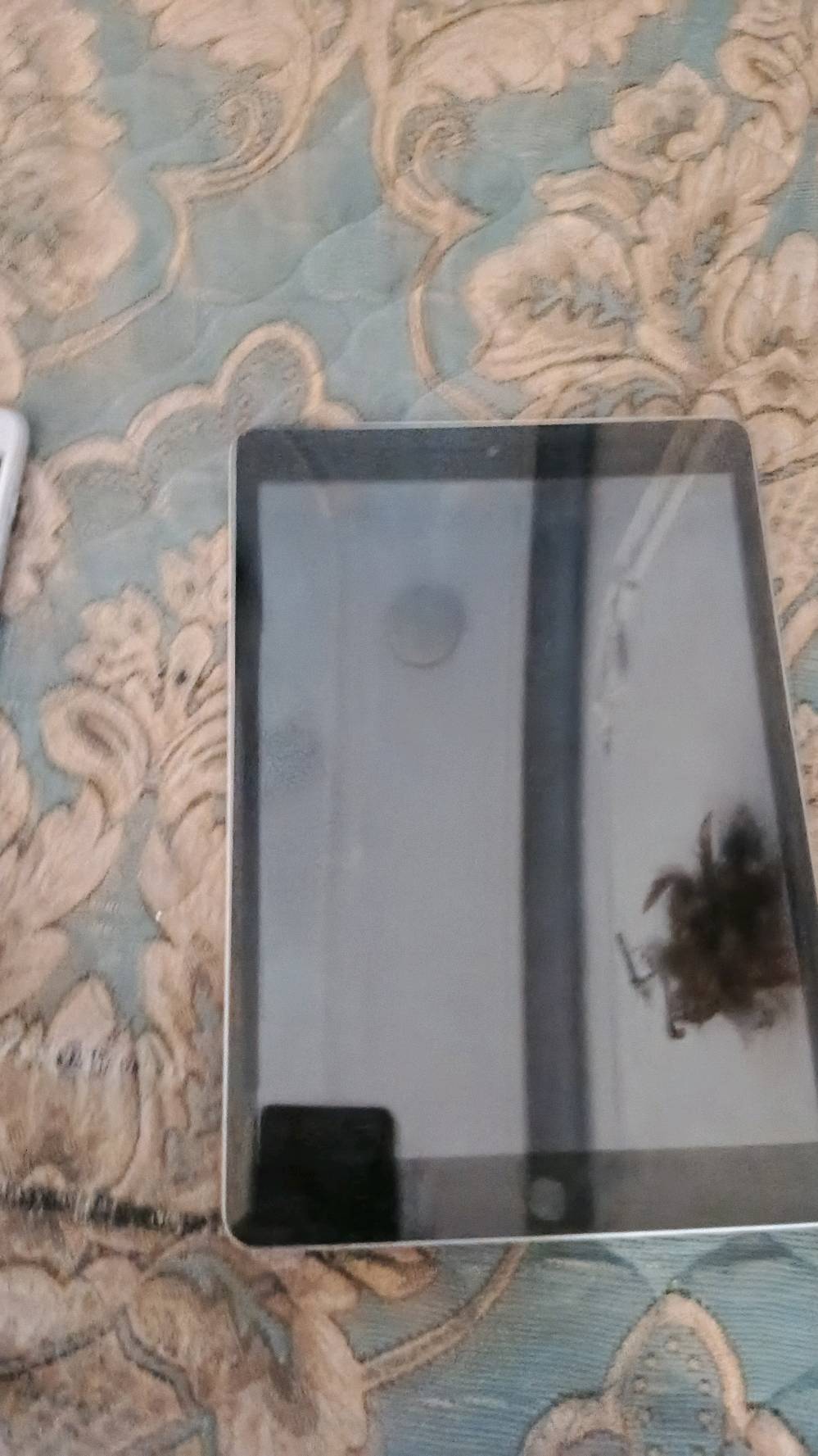 من رخصة الادمن ايباد 9 ذاكره 256 عطله فقط بورد ضارب سعره 120 وبي مجال ومبدل كلاس مو شاشه باقي مكفول ايفون سفن معووج الشاصي بطاريه 72 جهاز ضارب بورد سعره 35 وبي مجال الباقي مكفول رقمي للتواصل *********** بي واتساب مكاني بغداد الدوره ابو دشير
