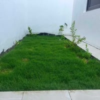 لعمل الديكور اتصل على الرقم 07519578051 🍃مستـعدون🍂 ، لـترتيب🐦 الحدائق ...