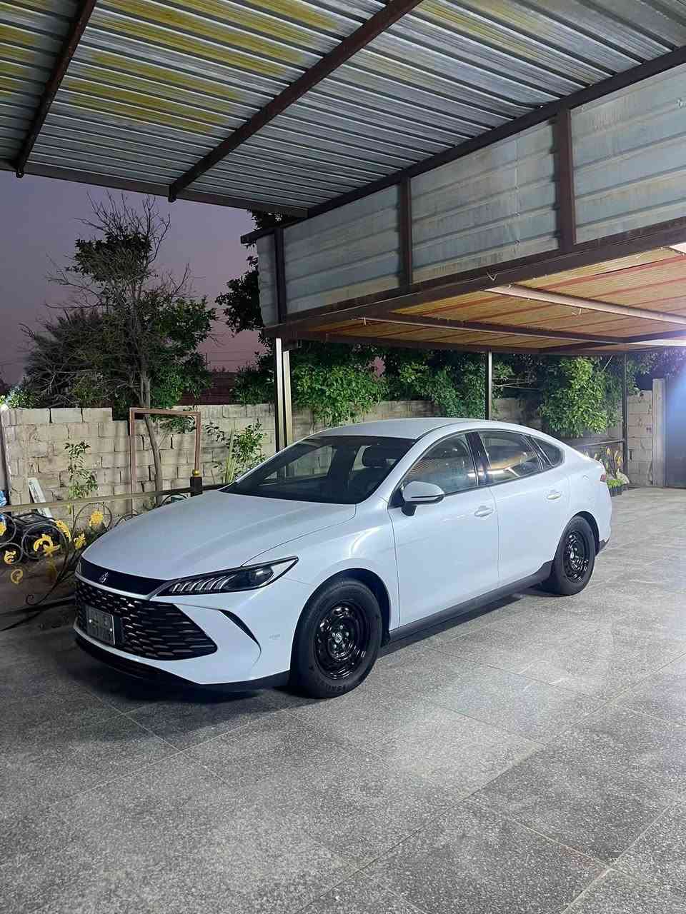 سلام عليكم ByD كن بلص مكفوله كفاله عاما فول مواصفات داخل زيتوني مدوشمه دوشمه خليه كاعيات جلد وسفاري السياره كلش جديده ماشيه 24 الف الكلي 
رقم بغداد تحويل مضمون 
مكاني كربلاء طوريج
***********
