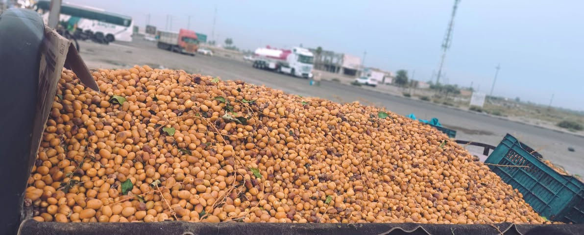 تمر علف • توصيل للبيت • بمناطق متعددة