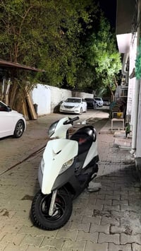 ثعلب • نضيفه • صوت خفيف