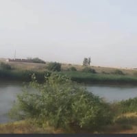 ٥٥ دونم • واجهة نهرية ١٠٠م • قرب جسر الشيحة
