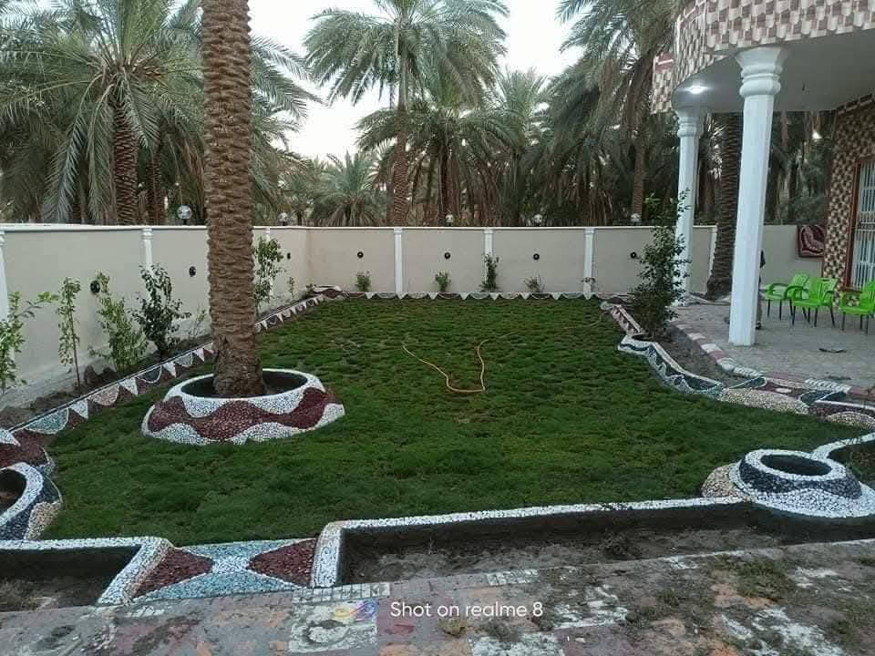 حسين لتصميم الحدائق ***********
🍃مستـعدون🍂 ، لـترتيب🐦 الحدائق المنزلية 🏝️🏘️
وزراعة النباتات، 🌾🌴🌱والازهار، 🌼🌺🌻وقص الثيل.🌾🌾
وعمل الديكورات والتصاميم،الحديثة للحدائق،، بواسطة الاحجار الملونة 
ونعمل على تصميم الشلالات 💦والنافورات

نص مكتوب في الصور:
- Shot on realme 8
