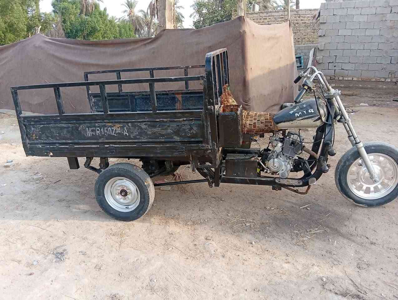 ستوته • كلك مكفولة • ٢٠٠٨