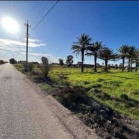 📍البوعيثة  دونمين للبيع بسعر 78 مليون لدونم  طابو زراعي سند 25  شرط تح...