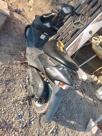 خفاش • دك • بريك كدام