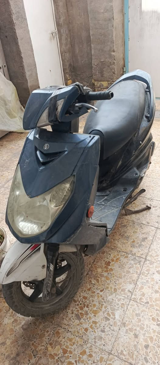 سكنس • يحتاج كلجات • ما متواجد