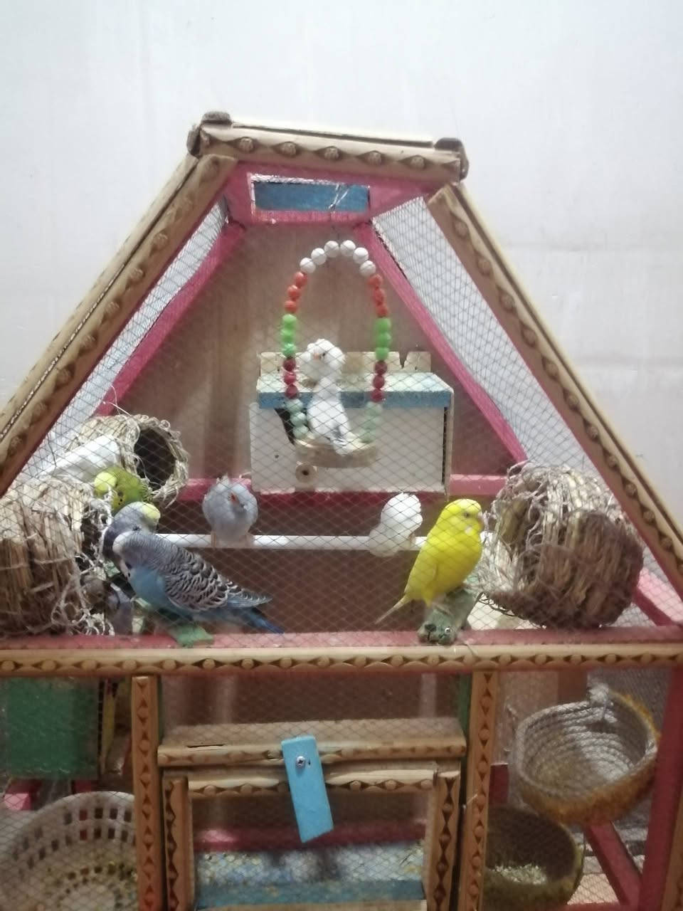 للبيع قفص وطيور حب 4معه 2حمام ملكي معه 2 فناجس معه بيوت حب 2 معه بيوت فناجس 3 معه سله حمام ملكي السعر 60 الف الحصوه ***********
