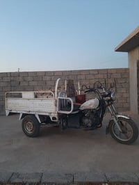 ستوته • ٢٠١٩ • كهربائيات فول