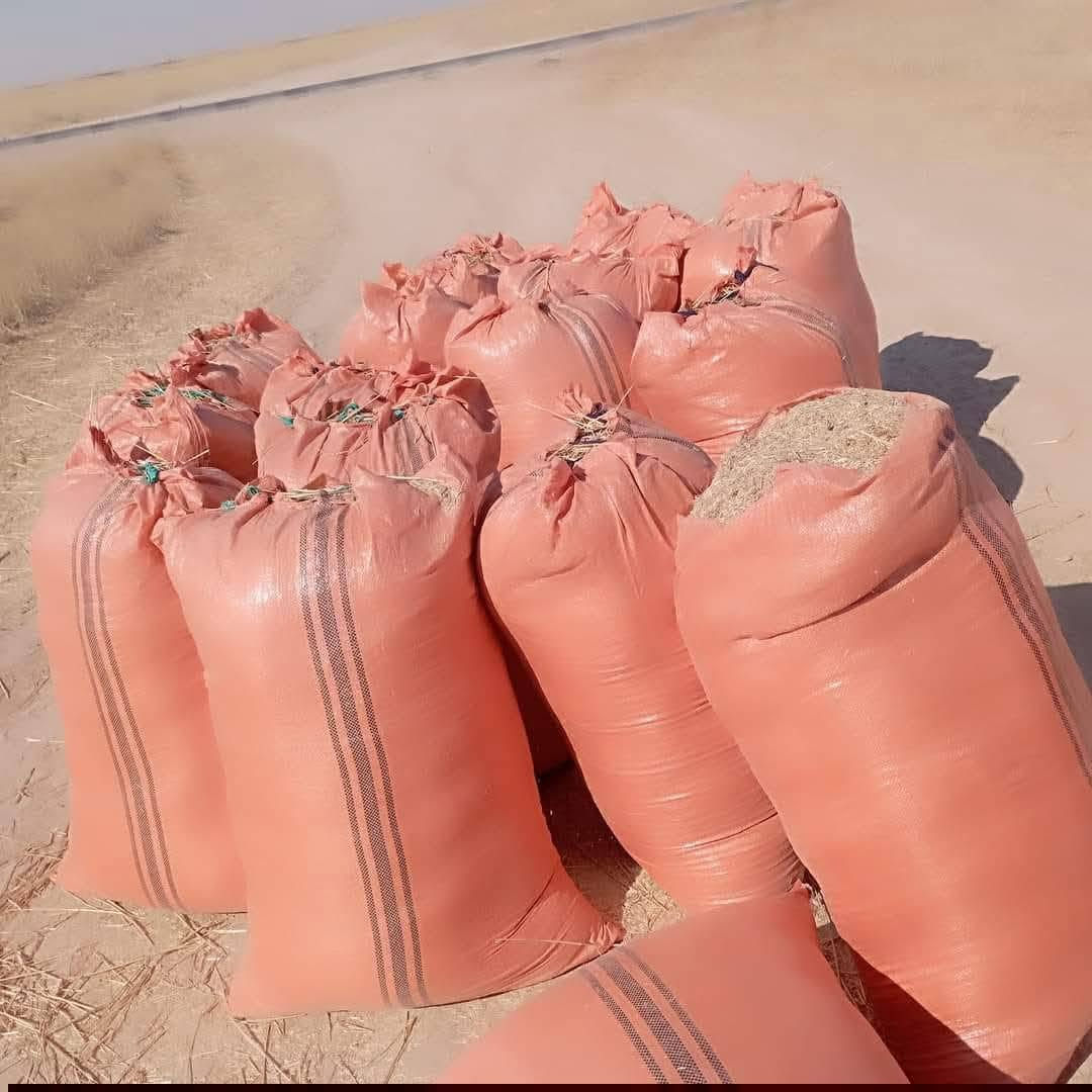 السلام عليكم يوجد تبن مال السنة تبن حنطة موجود گواني وموجود شلفان اسعار مناسبة ترس فول يوجد توصيل #شرقاط_هيجل_خضرانية_گيارة_اسديره_الزاب_الحود  للاستفسار والتواصل على الرقم *********** او المراسله عالخاص وحياكم الله

