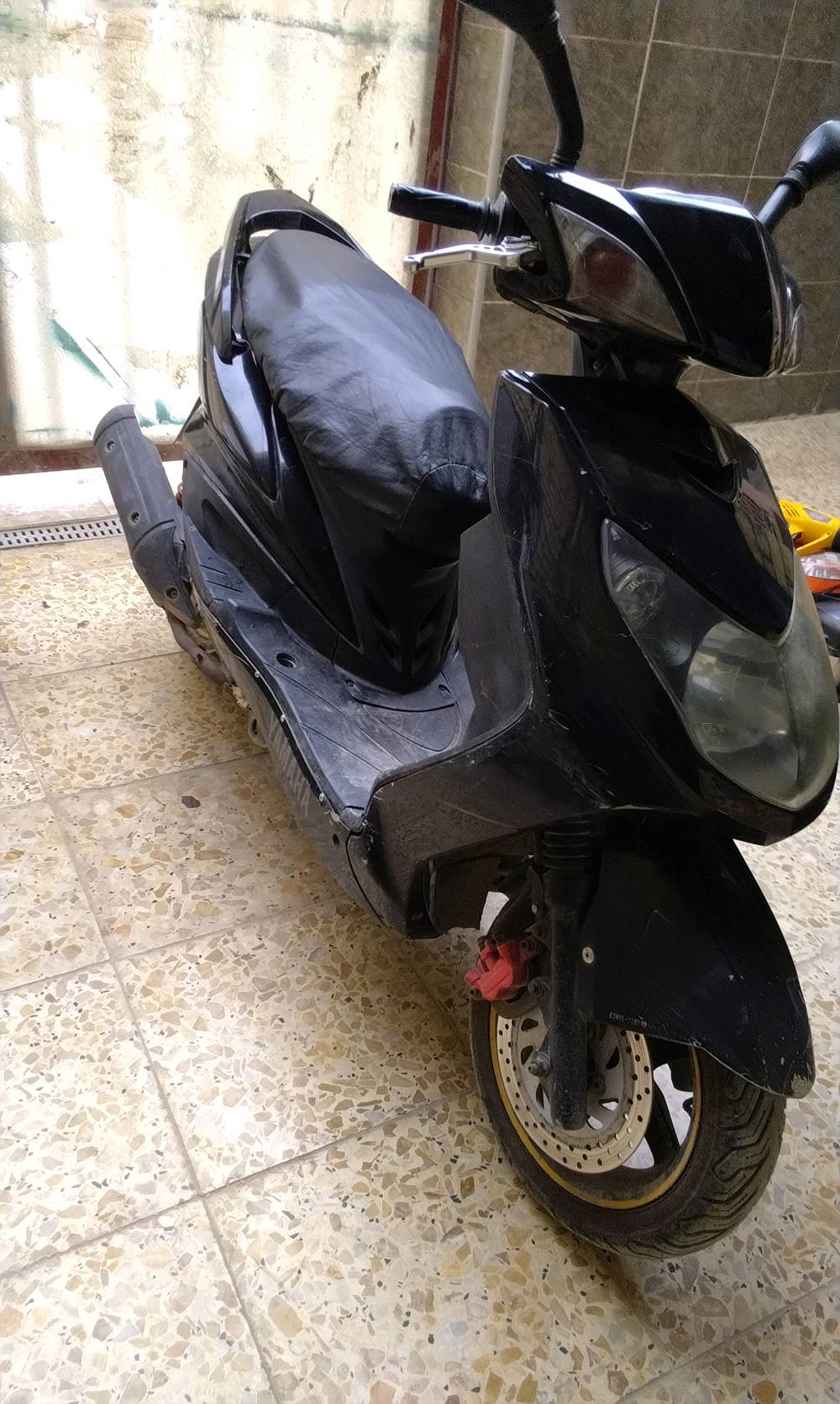 سكنس فحل • دراجة • بغداد