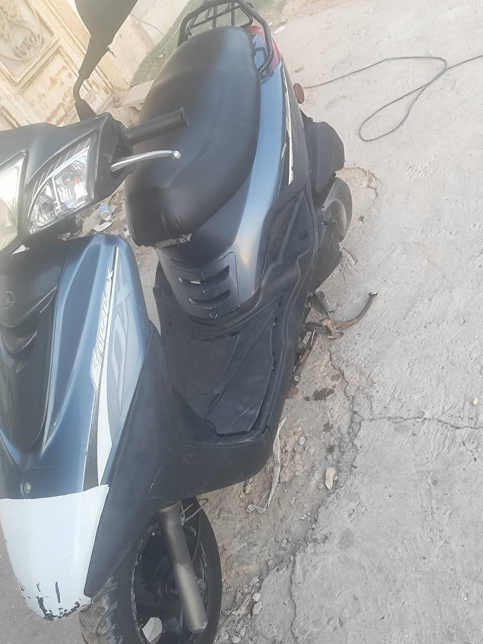اكزز بغبغاء • نضيفه • مكفوله