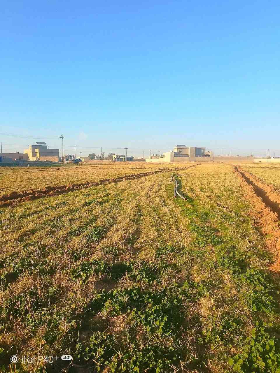 ***********
قطع للبيع الحويجه طريق المنزله ورا جملة العياش 
مساحة القطعة الوحده 240
يبعد من التبليط 150متر 
واصل الخدمات
سعر القطعة الوحده 3مليون وبيه مجال
