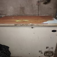 مجمده • ياباني