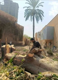 قطع الاشجار • بغداد كرخ و رصافه • مجاناً