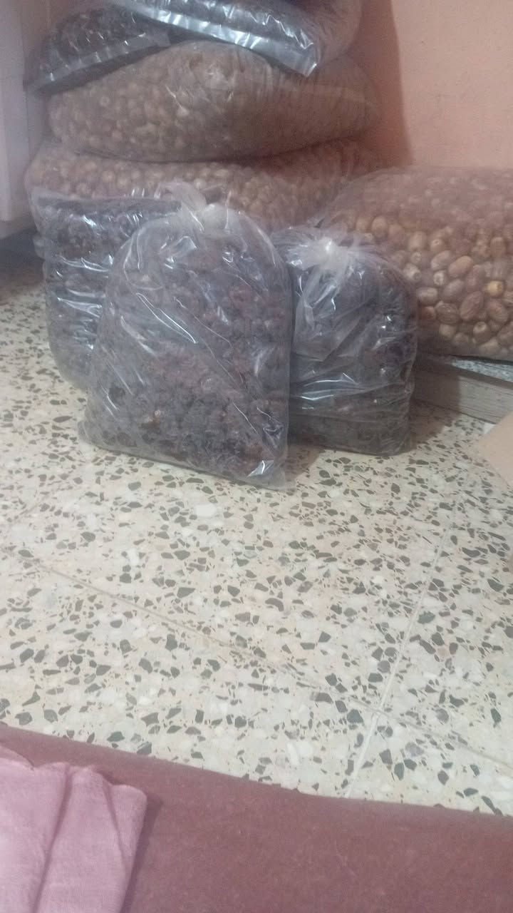 دبس • تمر خسته • كيس ٥ كيلو