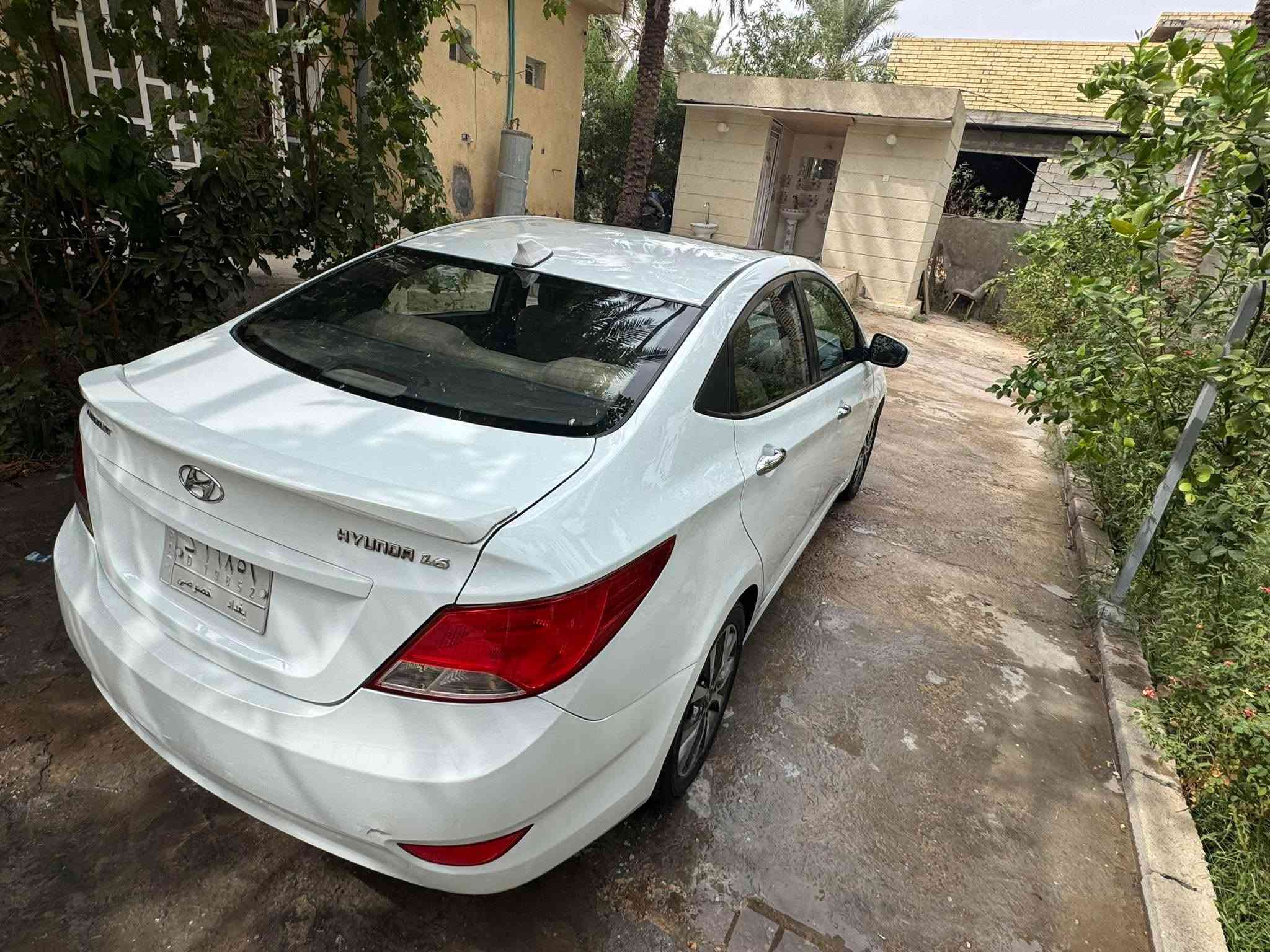 اكسنت ٢٠١٦ • رقم بغداد • كفاله عامه