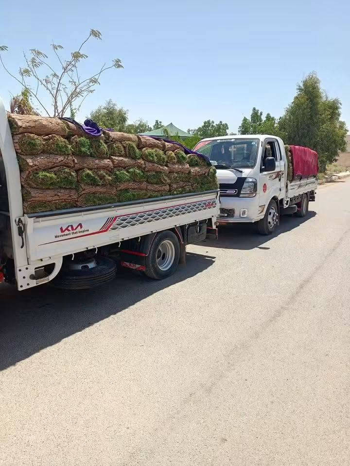 ثيل هندي للبيع درجه اولى وباسعار مناسبة واصلك البيت الحجز ***********
