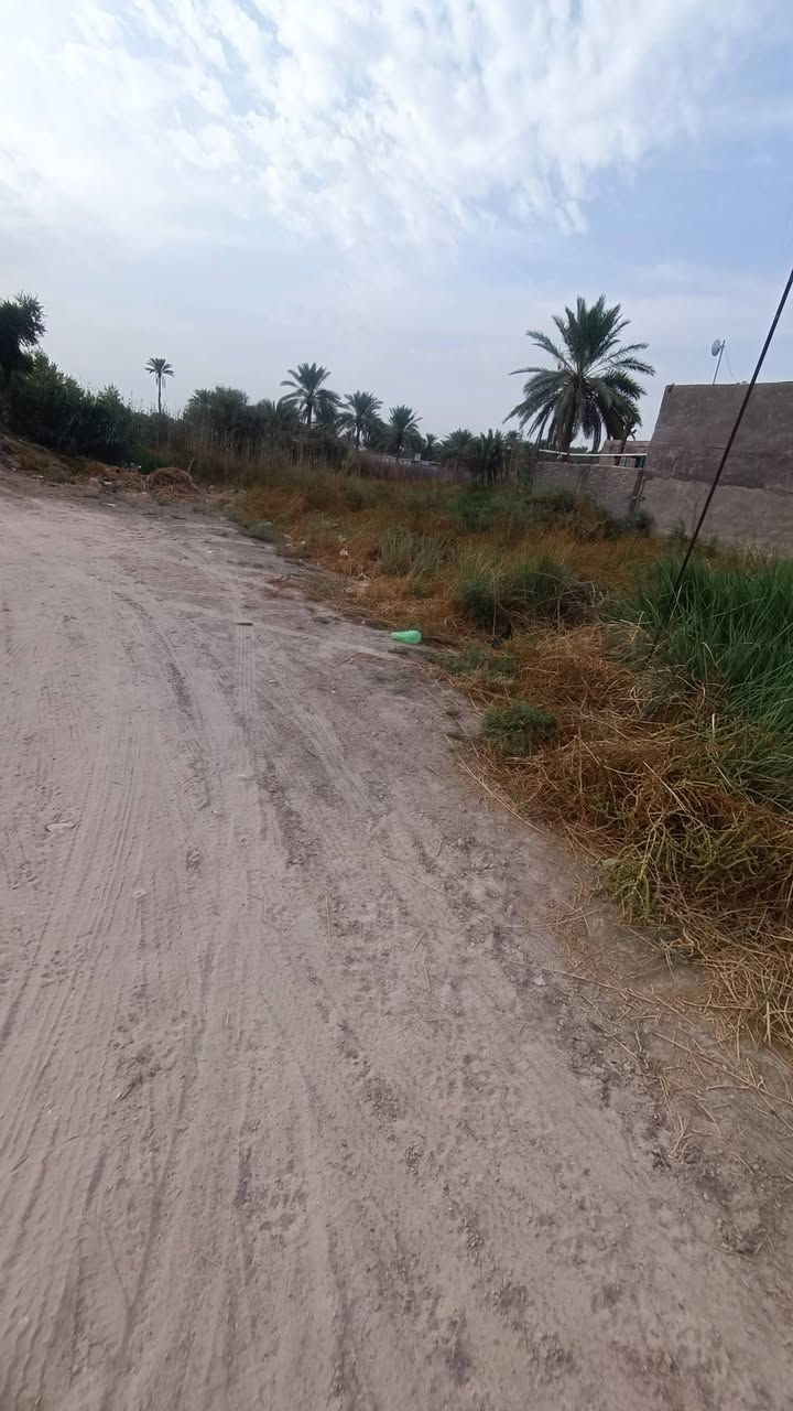 المسيب • ٢٠٠م • سند ٢٥