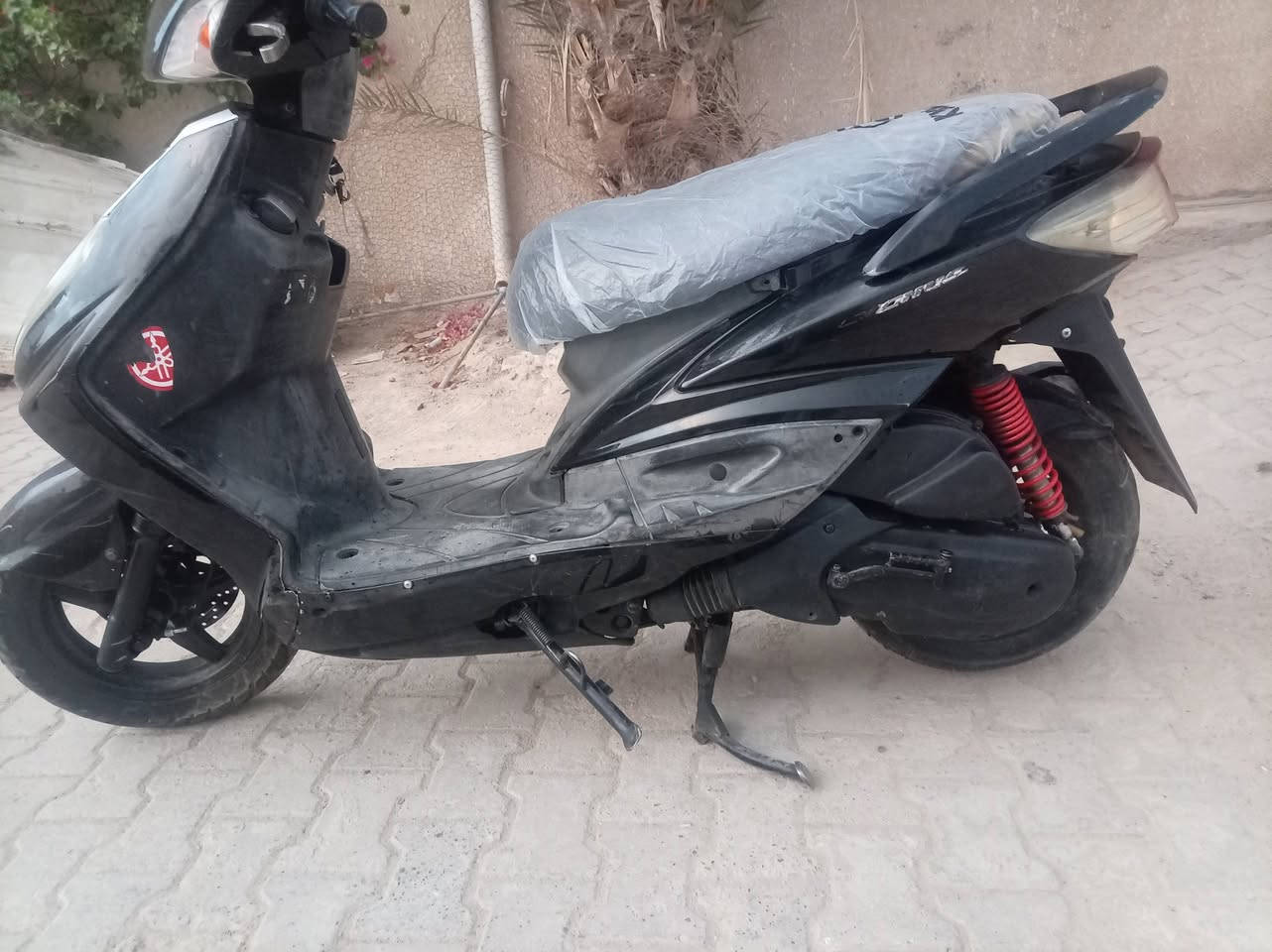 سكنس فحل • مامفتوح • ياباني