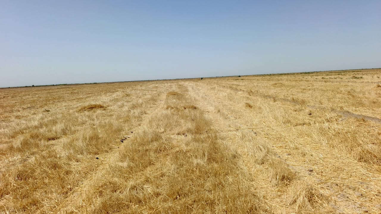 السلام عليكم جلة للبيع مساحة ٥٠٠دونم قرب سيطرة بغداد كوت خلف معامل طابوق الاستفسار ***********
