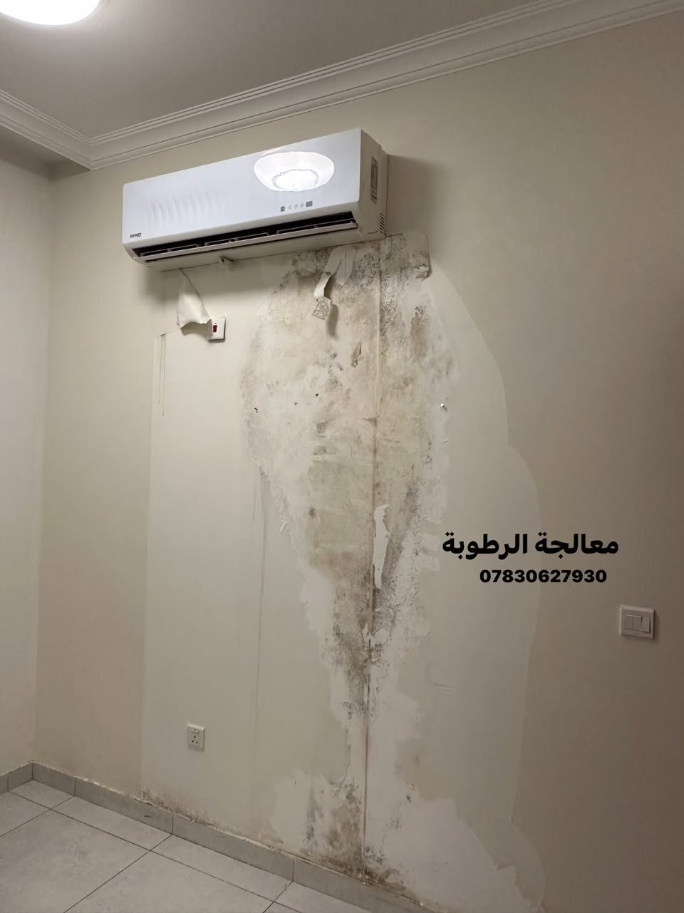 معالجة الرطوبة • صبغ جدران • نزع ورق الجدران