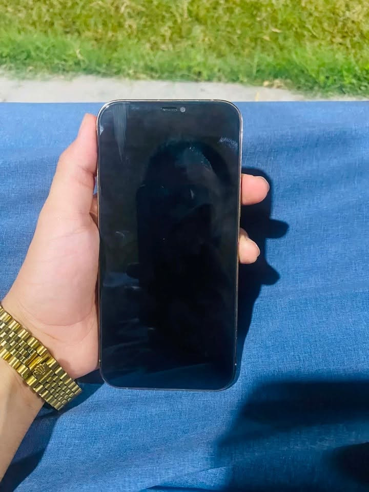 السعر 400 وبي مجال ايفون 12 برو ماكس لون ذهبي مساحه 256 جهاز نضيف مال بيت مبدل شاشه اصليه 3 خيارات بطاريه بلادي 71 صرفه طبيعي
يرهم مراوس حسب القناعه 
الاتصال ***********
