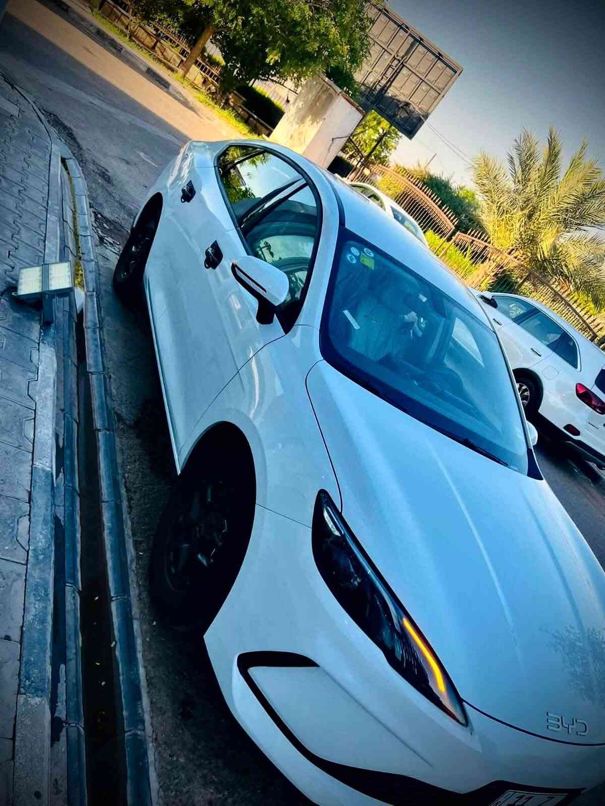 سيل 5 • ٢٠٢٥ • رقم بغداد