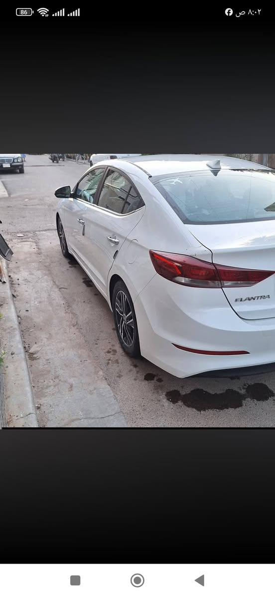 فول • ٢٠١٧ • رقم بغداد